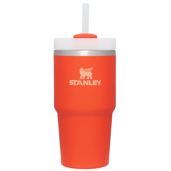 The Quencher H2.0 FlowState Tumbler | 20 OZ - Image 34