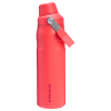 IceFlow Bottle with Fast Flow Lid | 24 OZ
